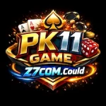 PK11 Game logo
