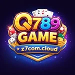Q789 Game